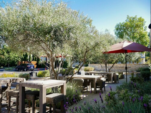 Гостиница The Nest Hotel Palo Alto в Пало-Альто