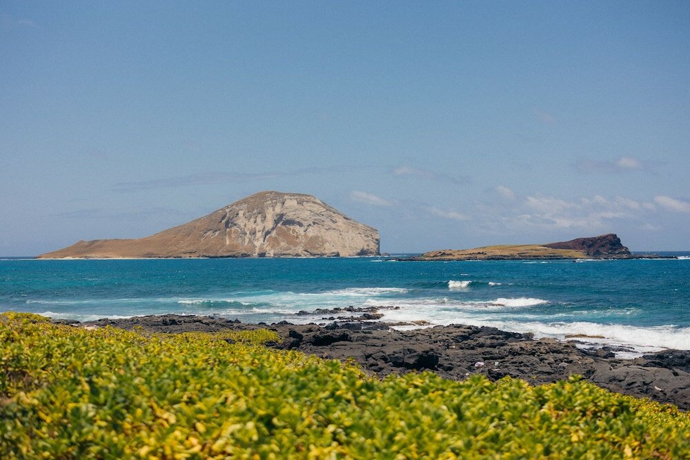 Фото Lotus Honolulu at Diamond Head