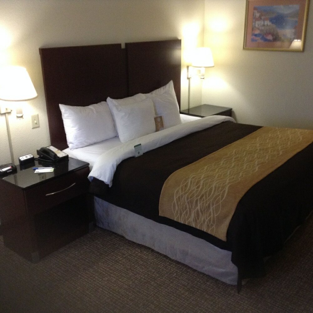 Фото Comfort Inn & Suites Ft. Jackson Maingate