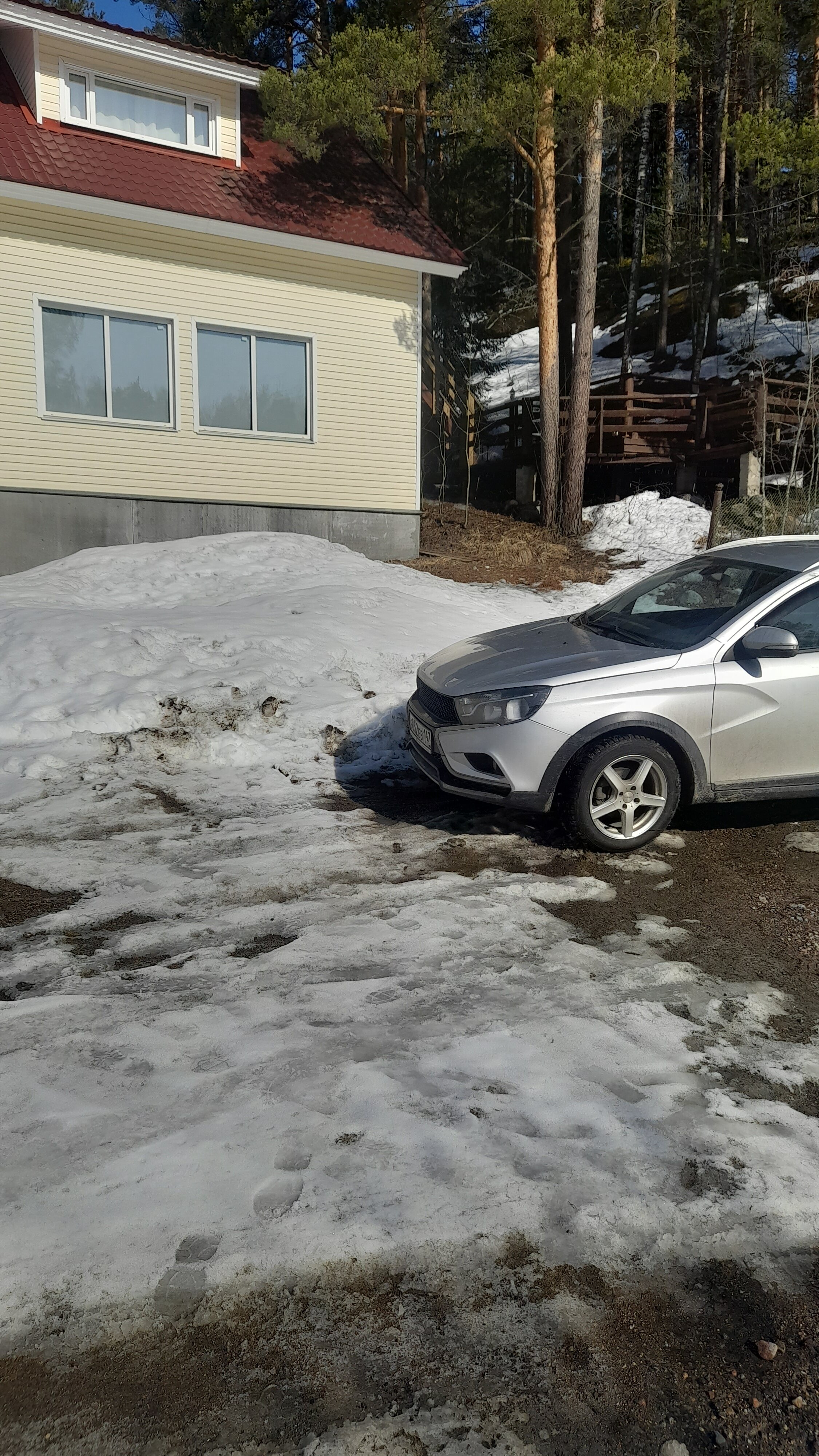 Фото Forest Park