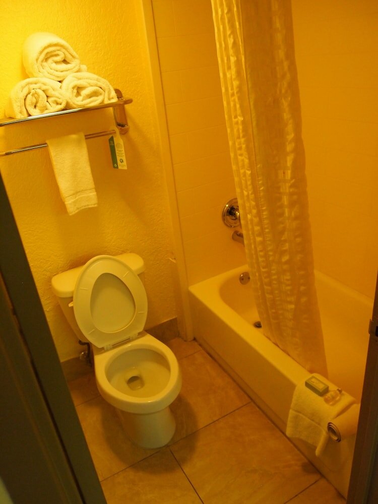 Фото Best Western Ft. Lauderdale I-95 Inn