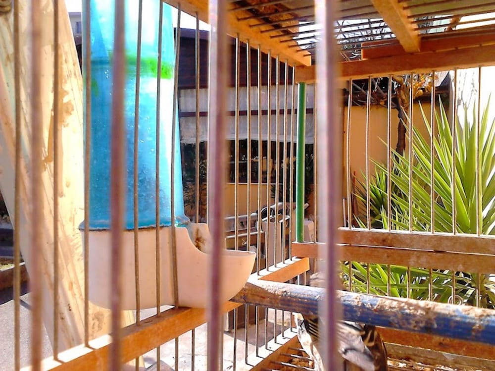 Фото Hotel Federico II