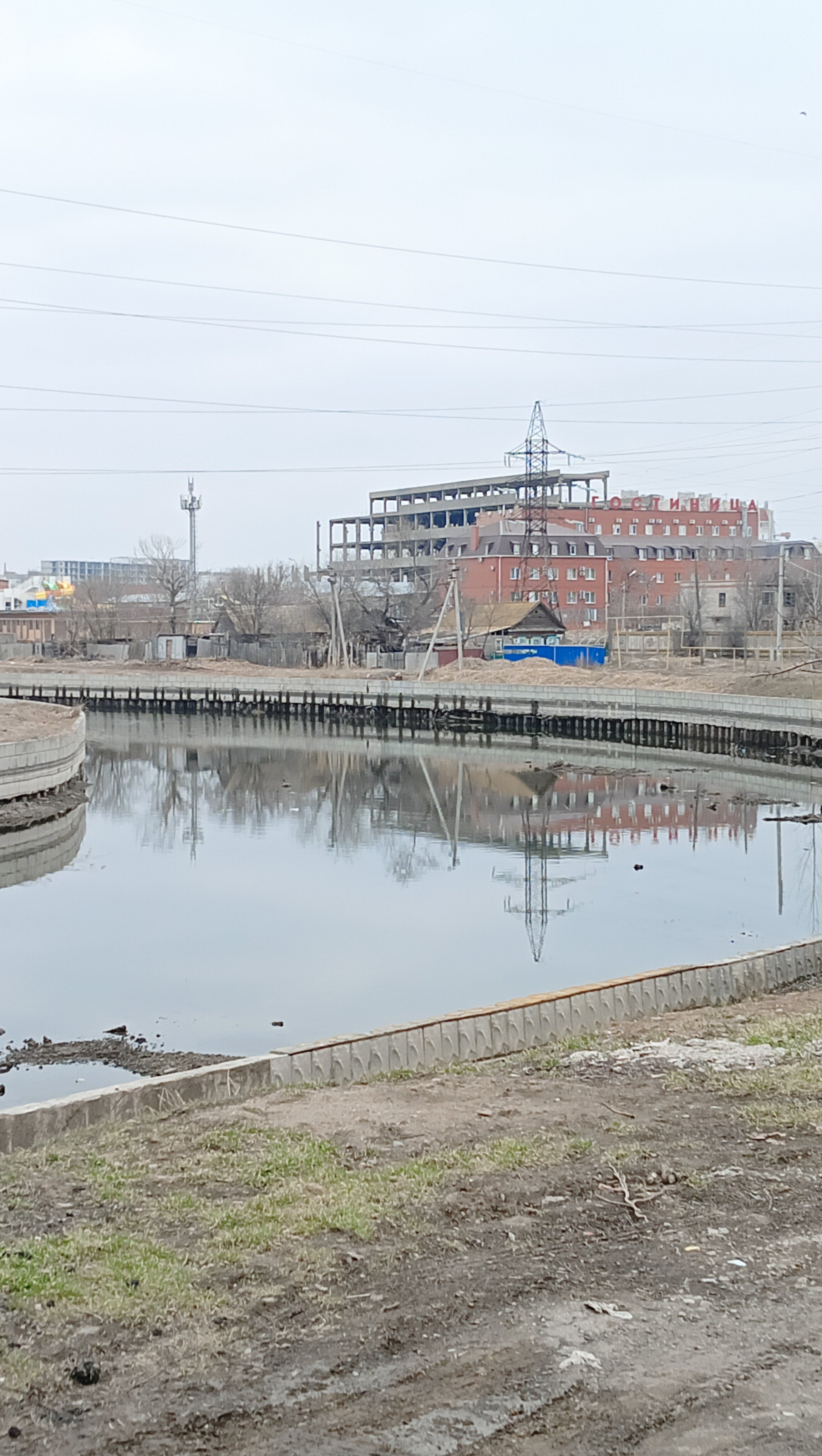 Фото Золотой Джин