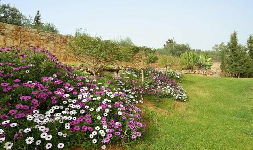 Гостиница Melitini in Souda With 7 Bedrooms and 6 Bathrooms