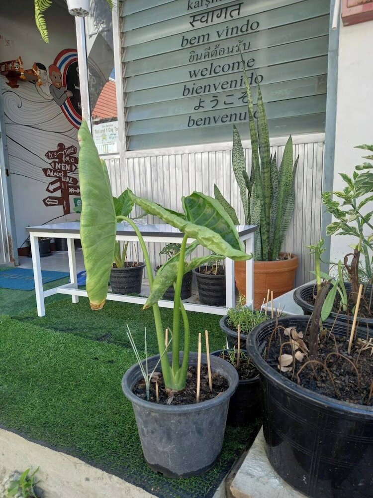 Фото Sleep with me hostel