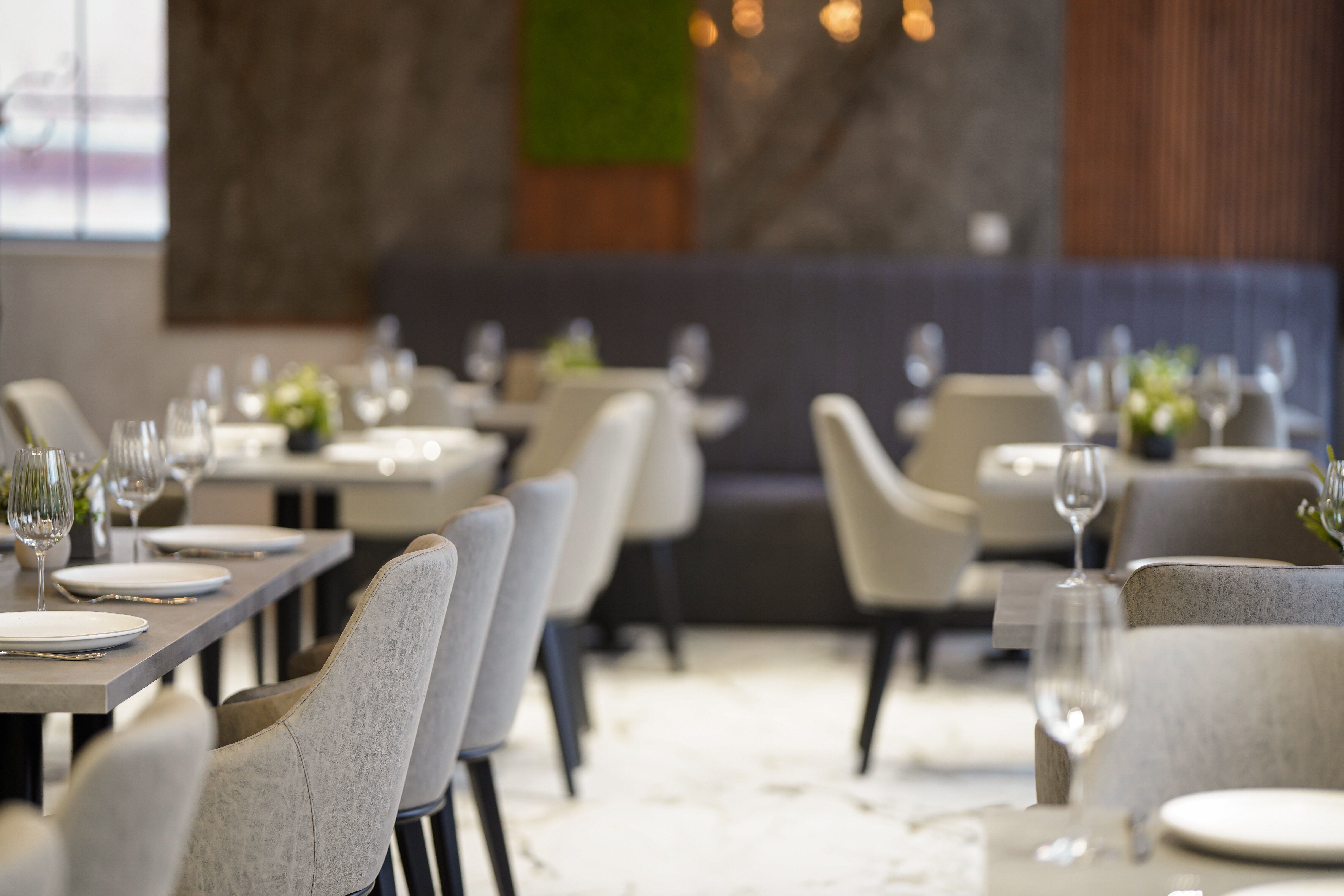 Фото Династия