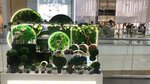 MyMossLife (Krasny Posyolok Street, 16), gift and souvenir shop