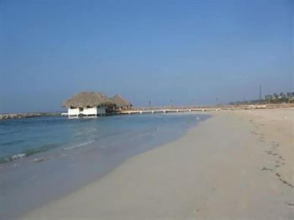 Фото Plaza Real Resort