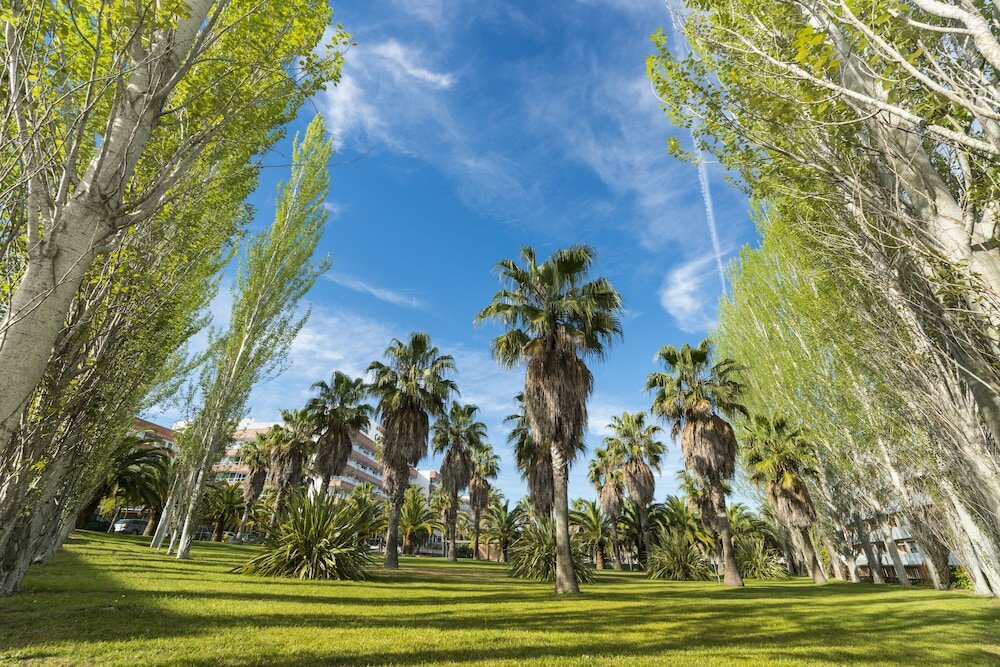 Фото Aparthotel Costa Encantada