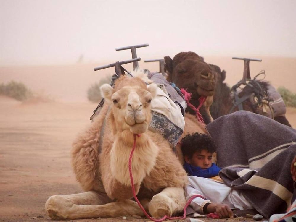 Фото Hotel Kasbah Erg Chebbi