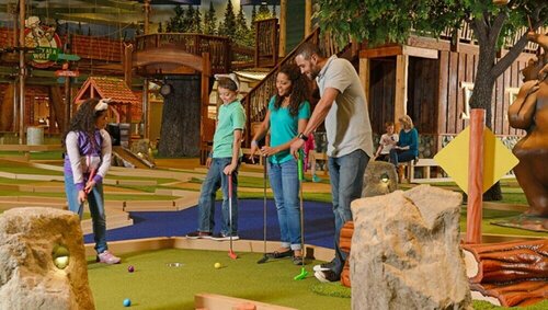 Гостиница Great Wolf Lodge Illinois в Герни