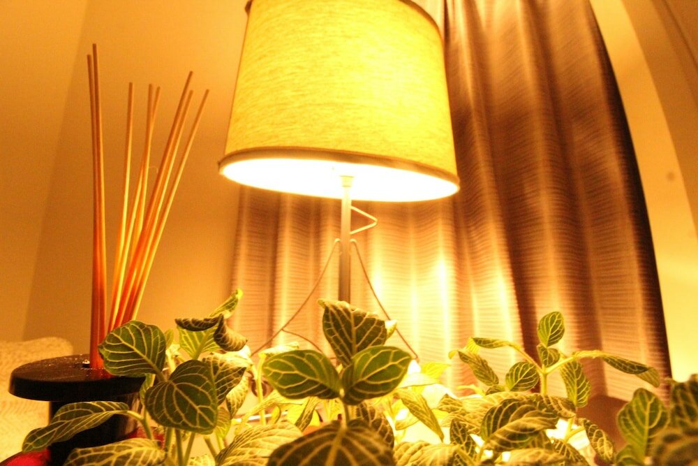 Фото Chatan Seaside American House AO