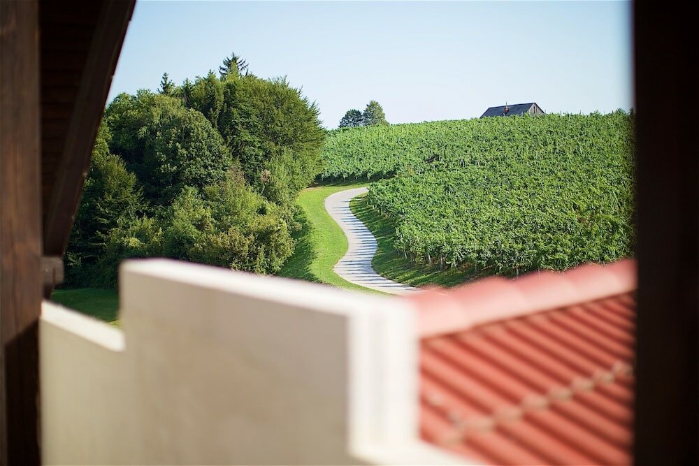 Фото Tourist Farm Lovrec