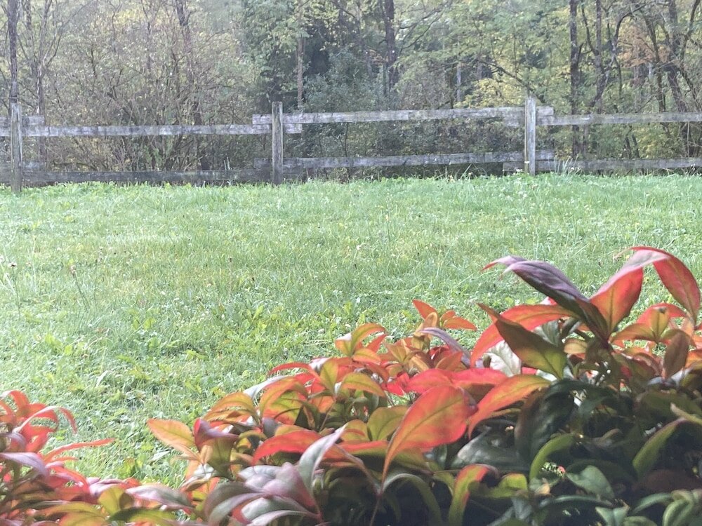 Фото Albergo Ristorante Lis Aganis