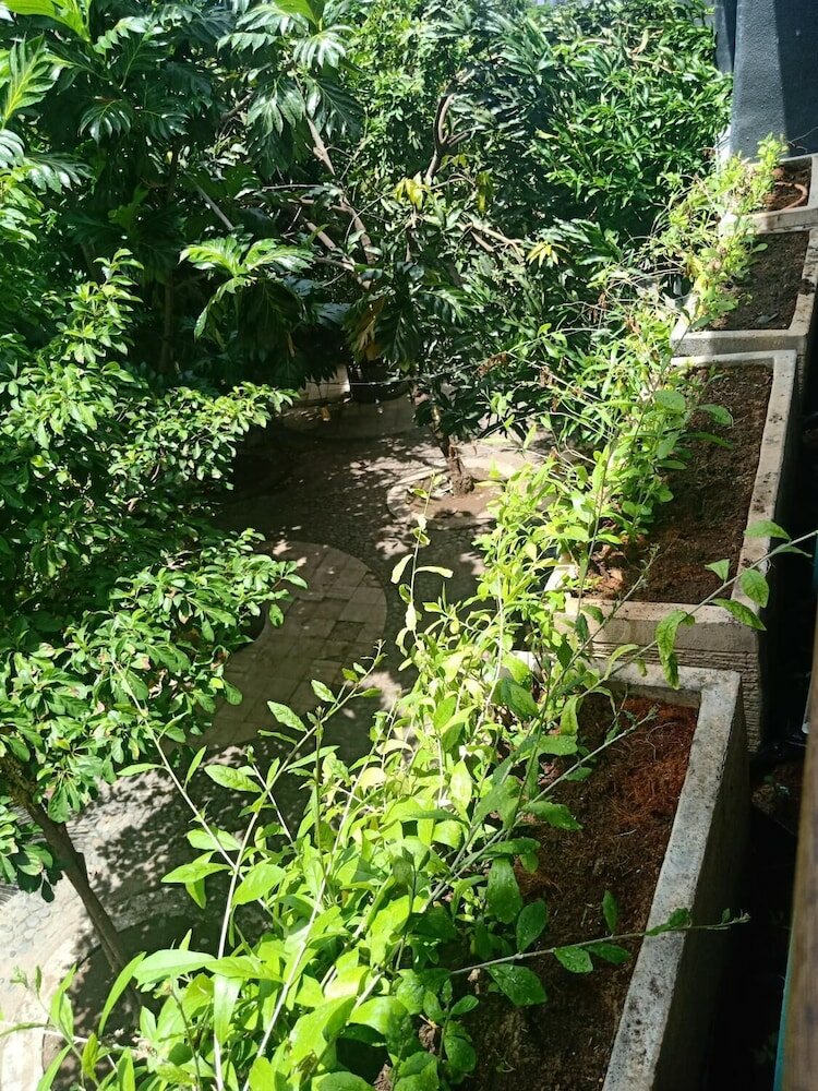 Фото Bed Box Bali - Hostel