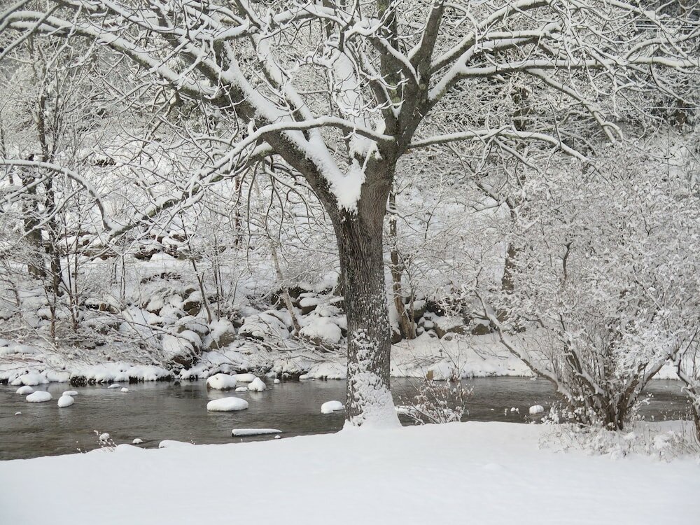 Фото Inn at Ellis River