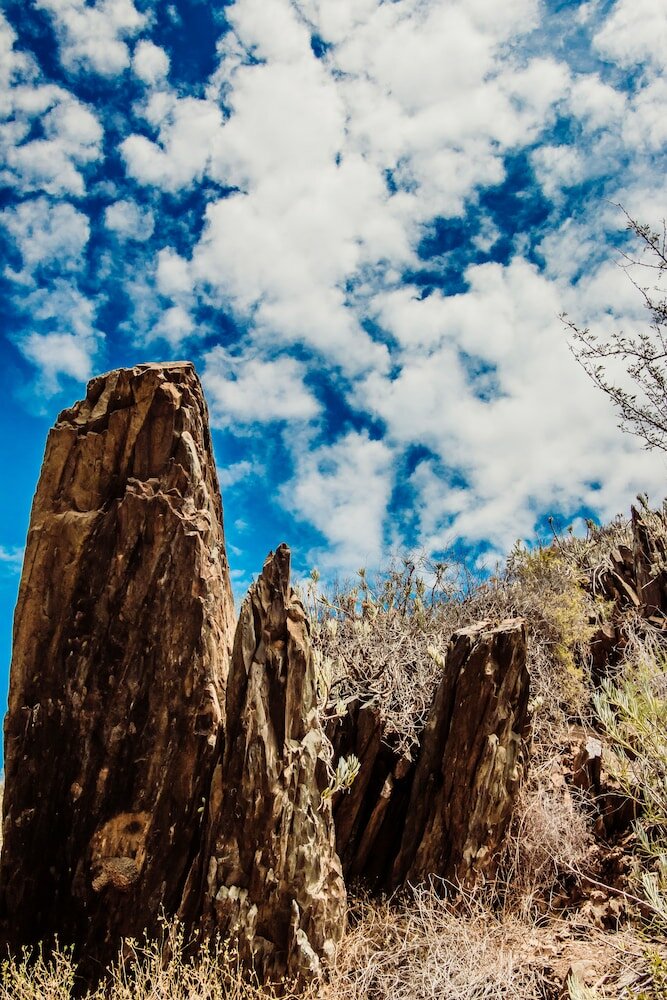 Фото Wildehondekloof