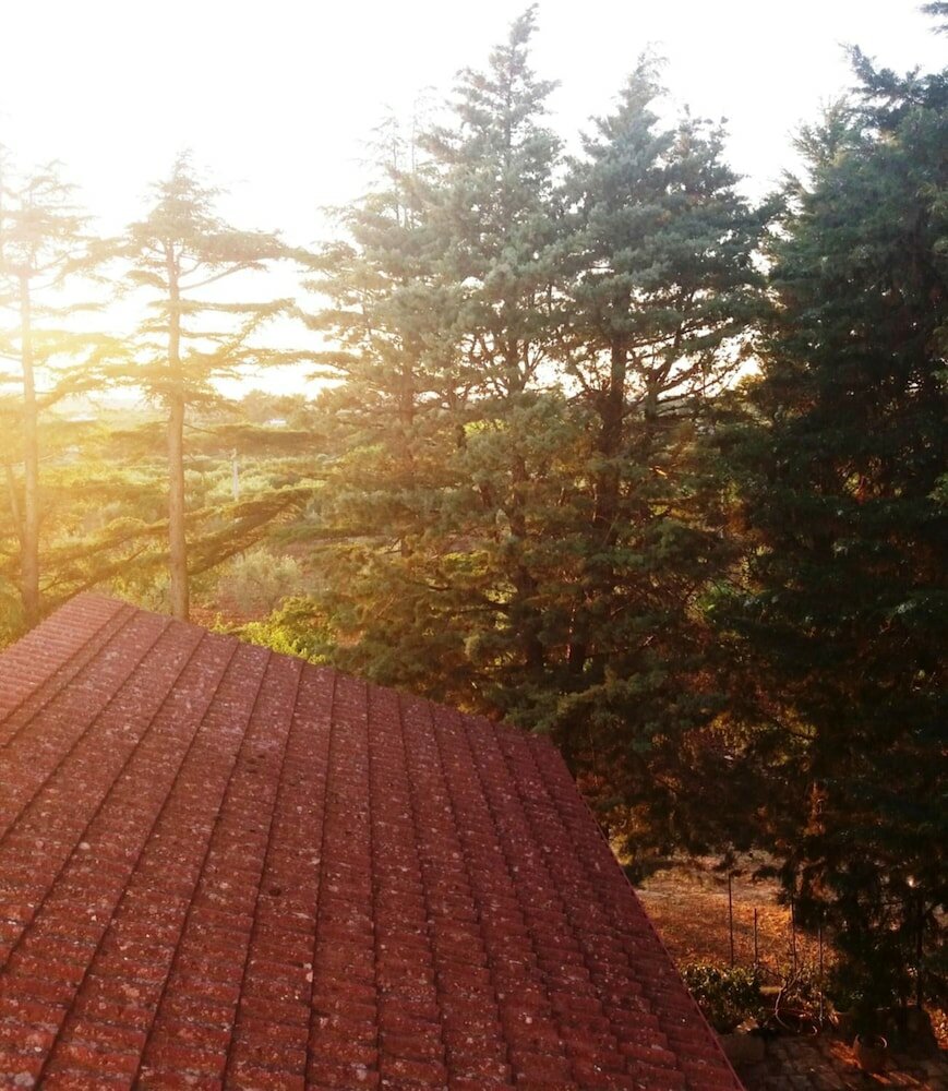 Фото Dimora Romano