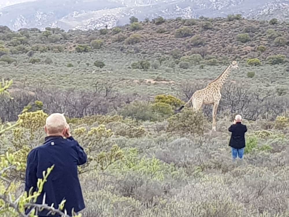 Фото Rooiberg Safaris