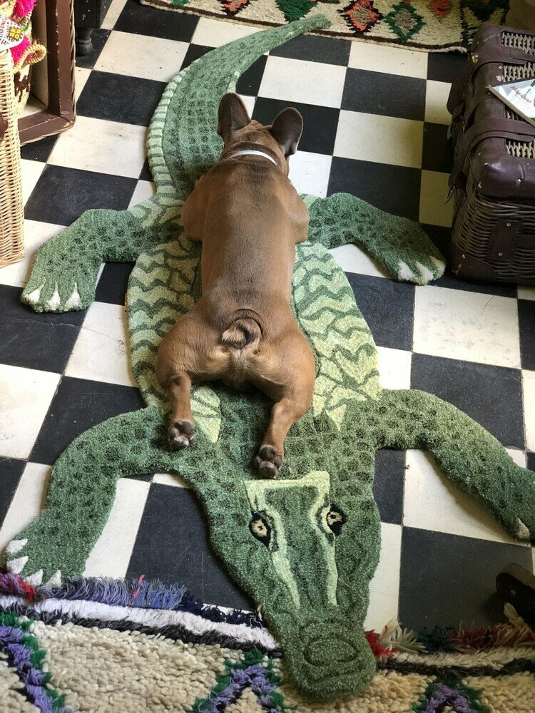 Фото Riad Tibibt