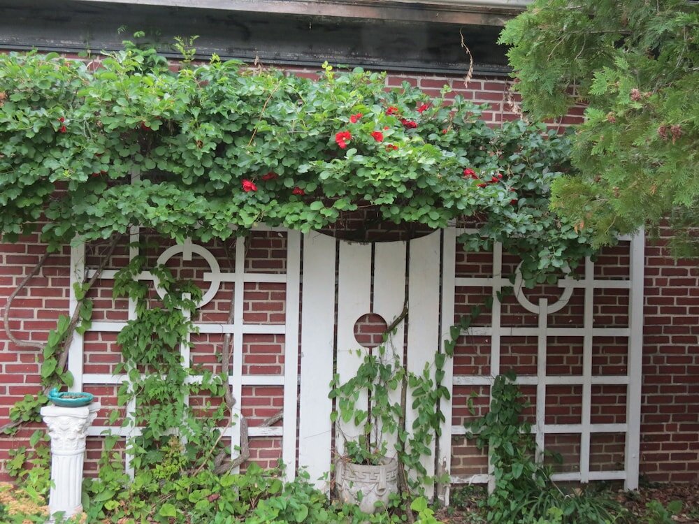 Фото The Silver Fountain Inn