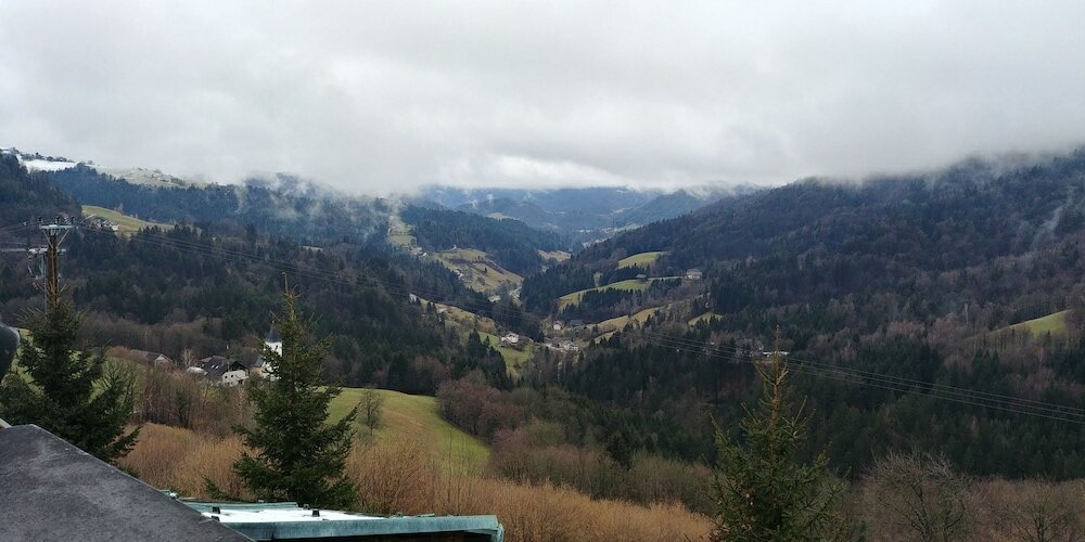 Фото Hotel Trojane