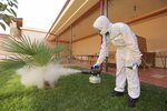 Dez cleaning (mikrorayon Novy gorod, prospekt Lenina, 26), disinfection, disinsection, deratization
