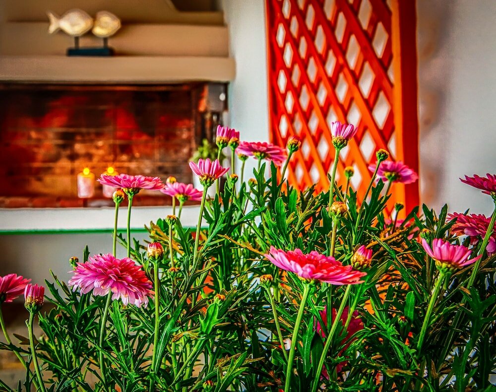 Фото Aqua Mare Hotel