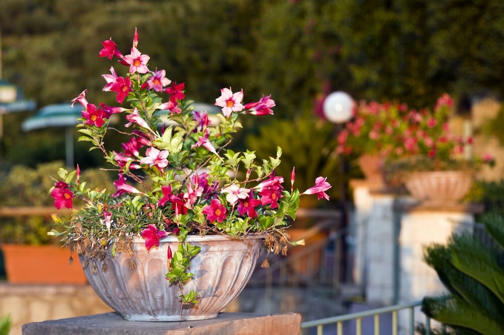 Фото Hotel Poggio Del Sole