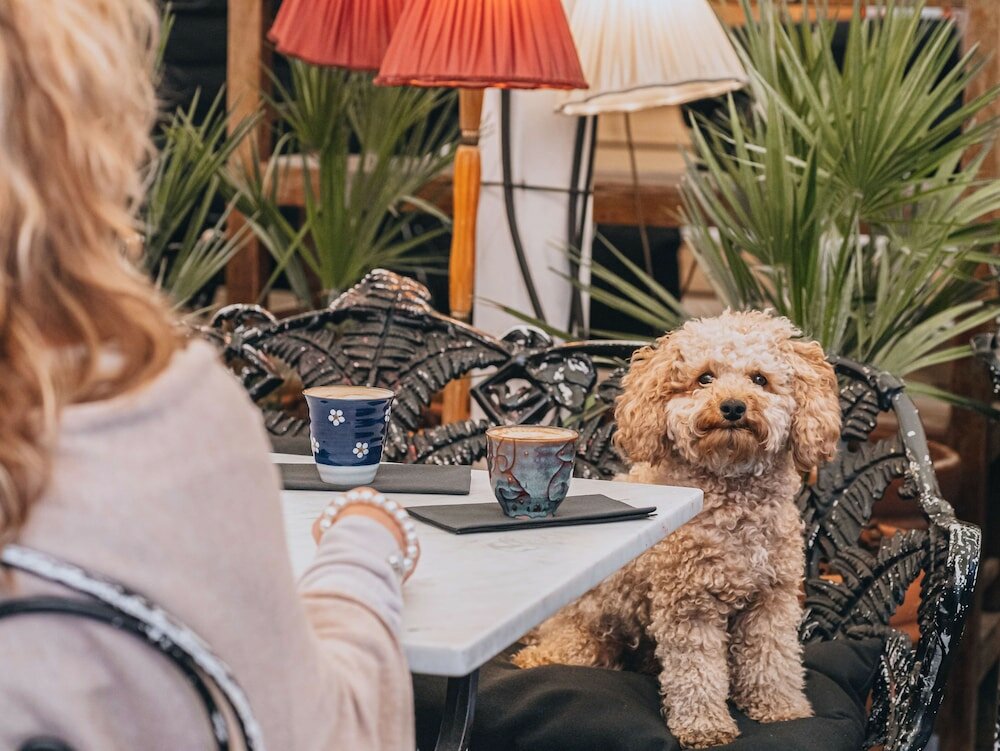 Фото Story Hotel Riddargatan, part of Jdv by Hyatt