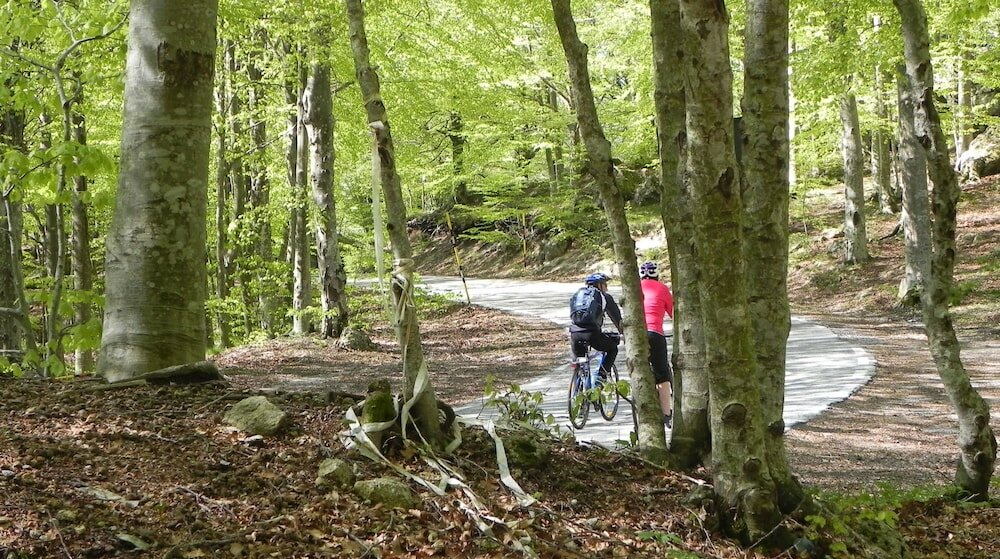 Фото Albergo Le Macinaie