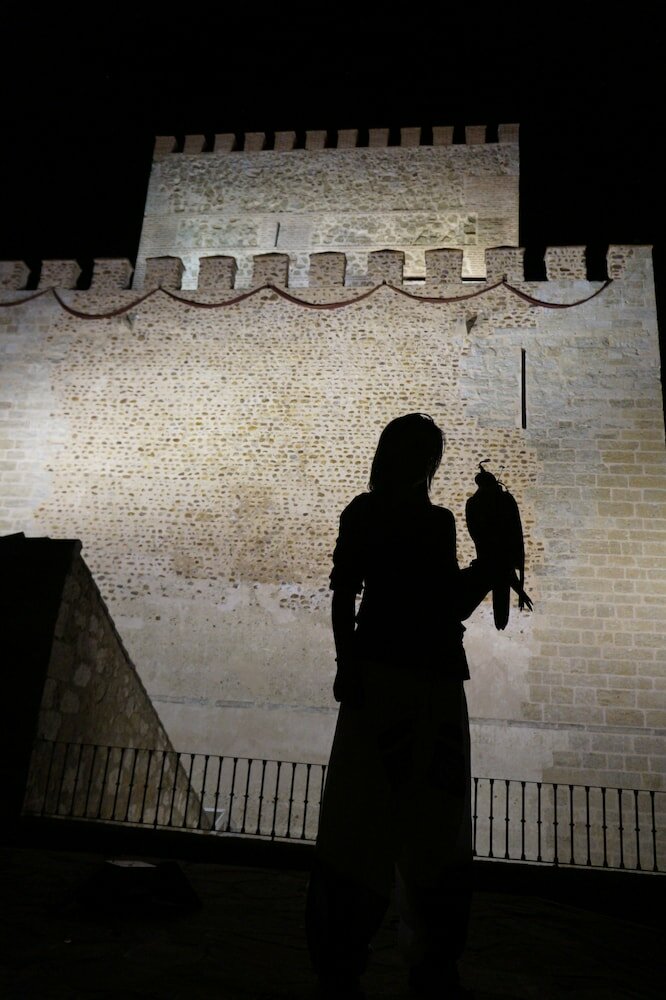 Фото Parador de Ciudad Rodrigo