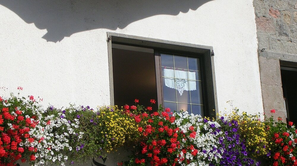 Фото Albergo Le Macinaie