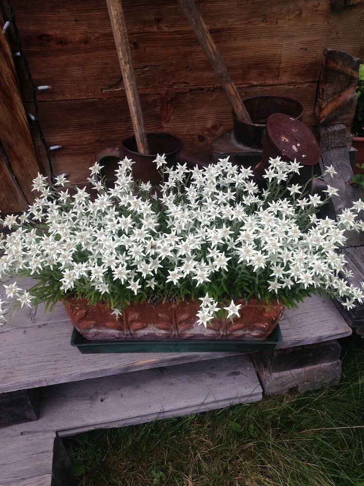 Фото Auberge de La Maison