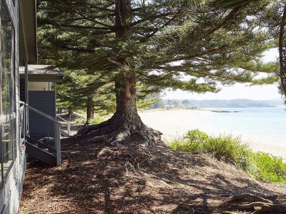 Фото Nrma Murramarang Beachfront Holiday Resort