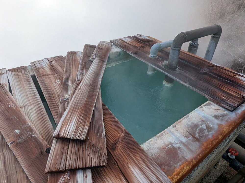 Фото Hakone Yunohana Prince Hotel