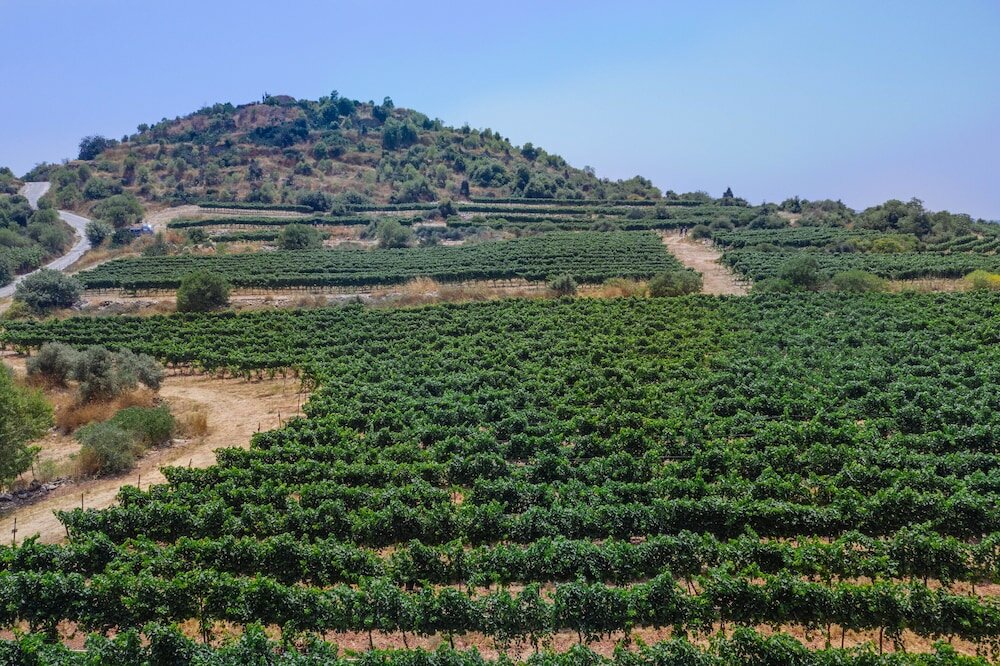 Фото Tzuba Hotel