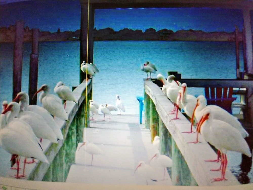 Фото Paradise Cove at Lemon Bay