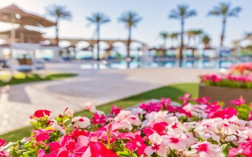 Фото Daniel Dead Sea