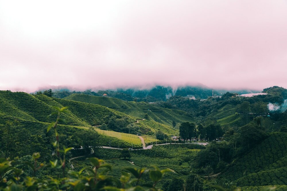 Фото Heritage Hotel Cameron Highlands