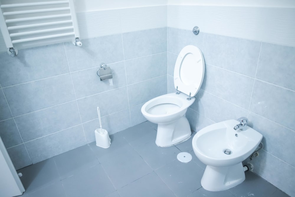 Фото Le Ortensie