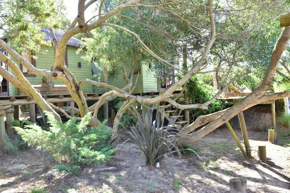 Фото Complejo de Cabañas Las Casquivanas