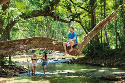 Гостиница Lychee Tree Holiday Apartments в Порту-Дугласе