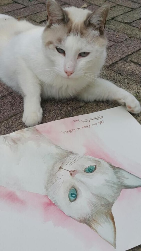 Фото B&b La Casa in Collina