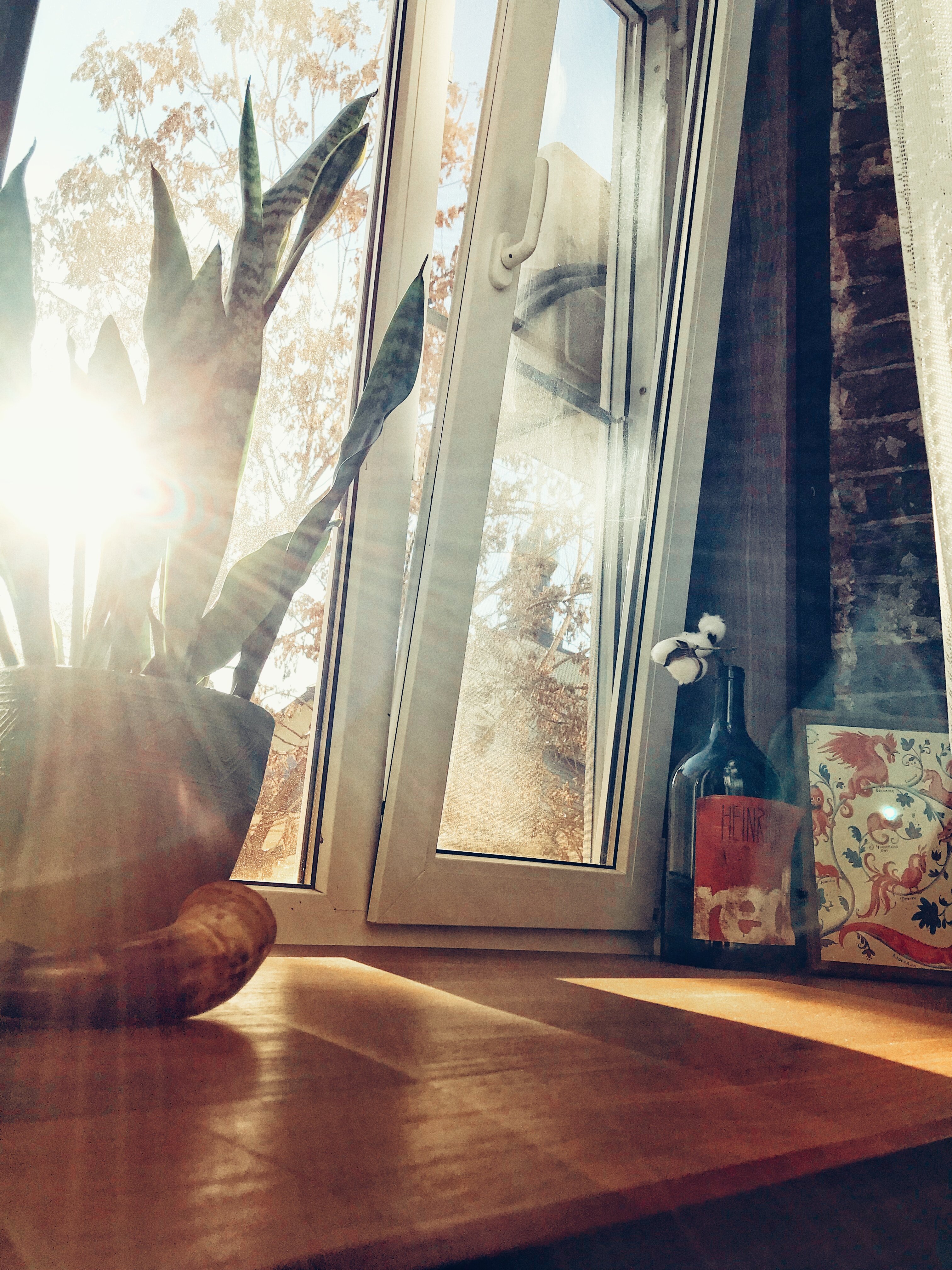 Фото Light Rooms Apartments