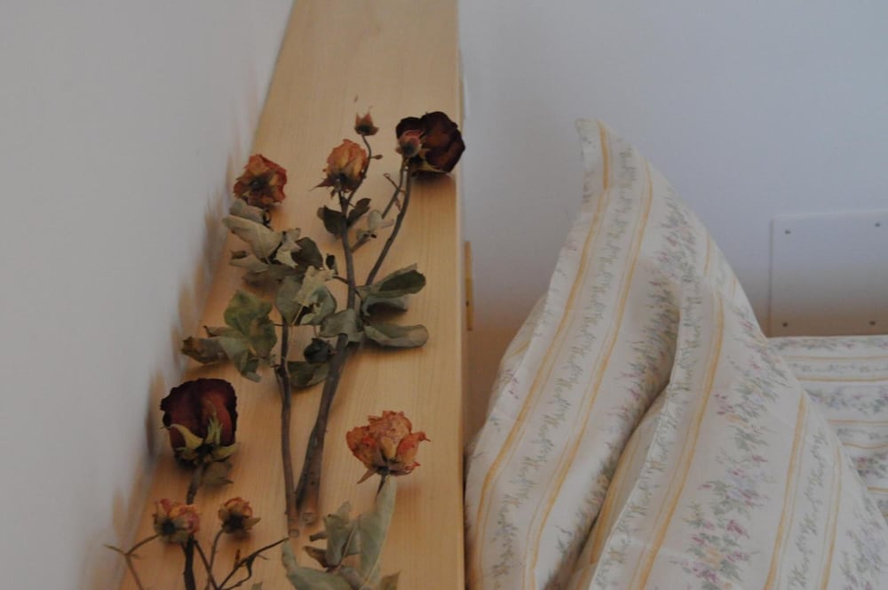 Фото Agriturismo Bortolotti