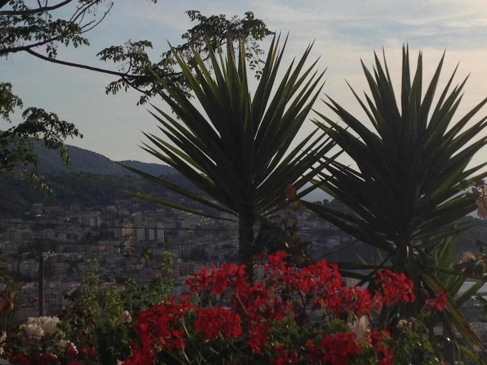 Фото Villa Malandrino