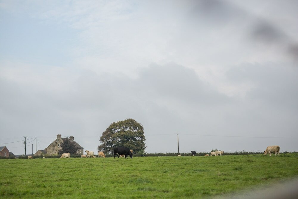 Фото Riding Farm Cottages