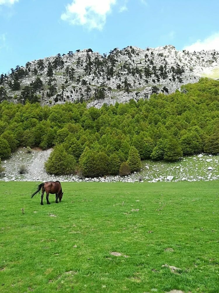 Фото B&b Esperanca