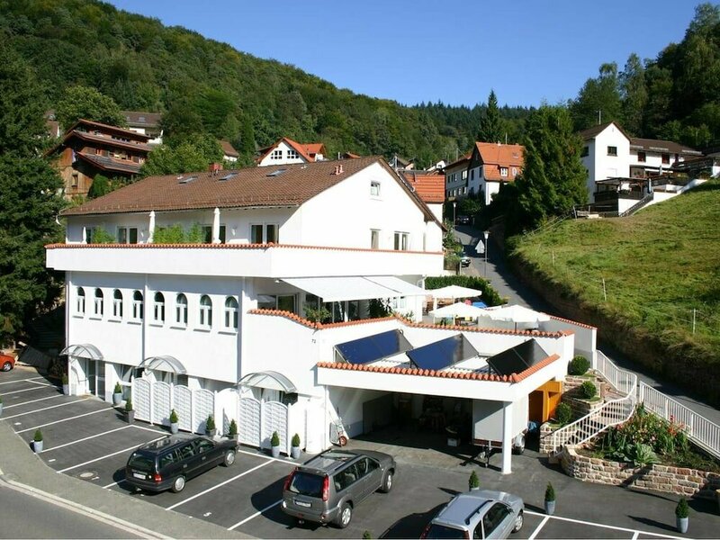 Гостиница Zum Löwen Heidelberg